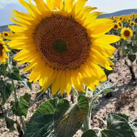 Casa rural Italuna *