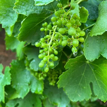 Italuna Hétvégi ház Jarque de la Val